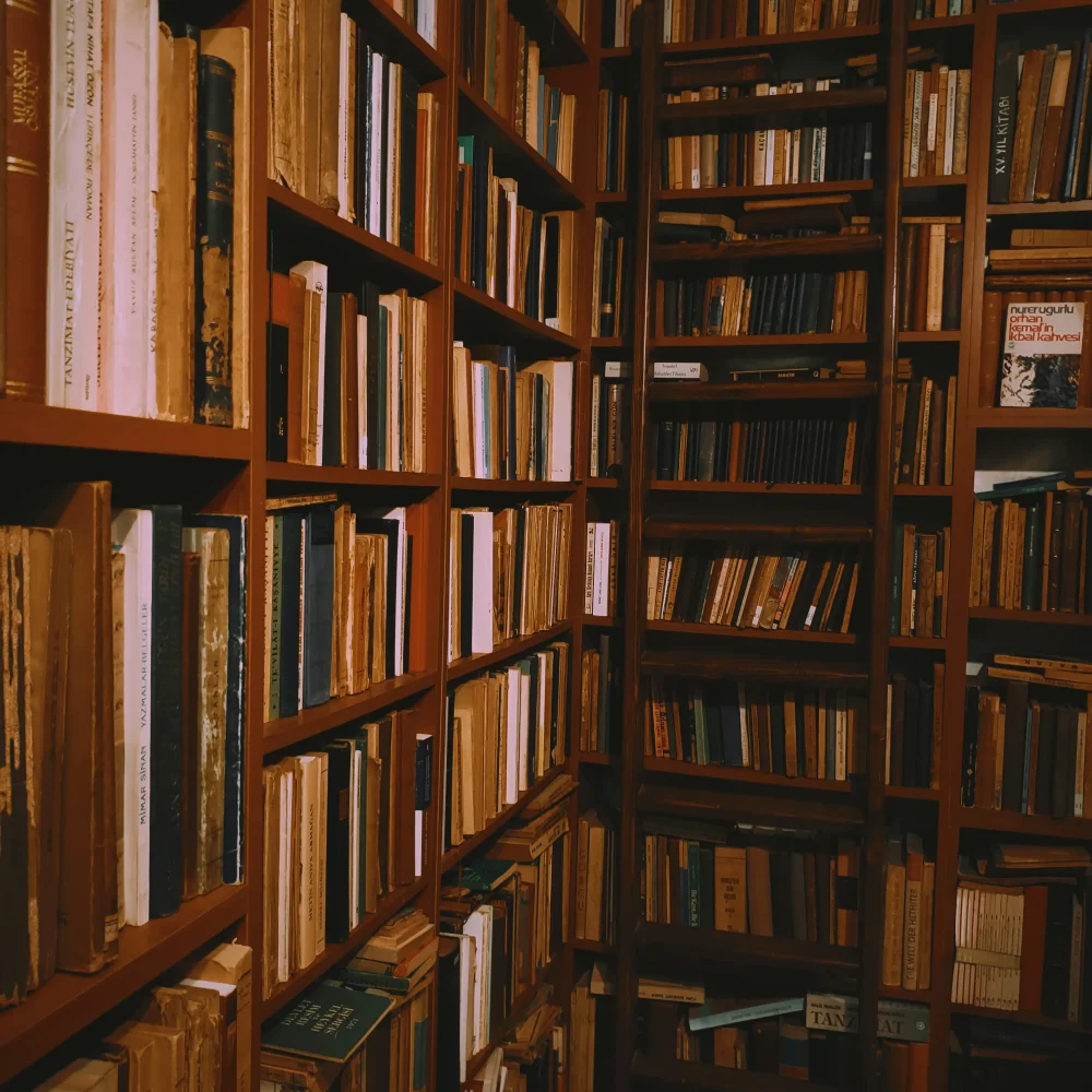 samet-kurtkus-_-WZZhP_J8U-unsplash