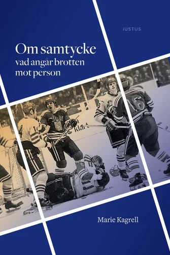 Om-samtycke-vad-angår-brotten-mot-person